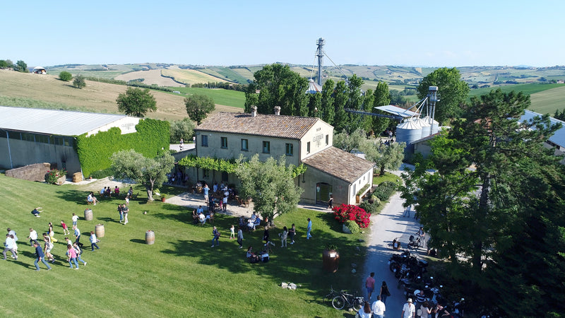 Guerriero della Terra Marche Rosso IGT 2020