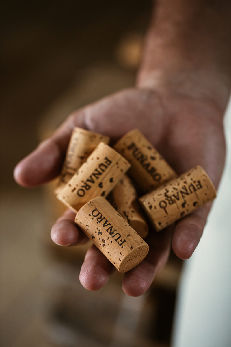 Rosato Nero d' Avola 2022 - Biowein aus Sizilien
